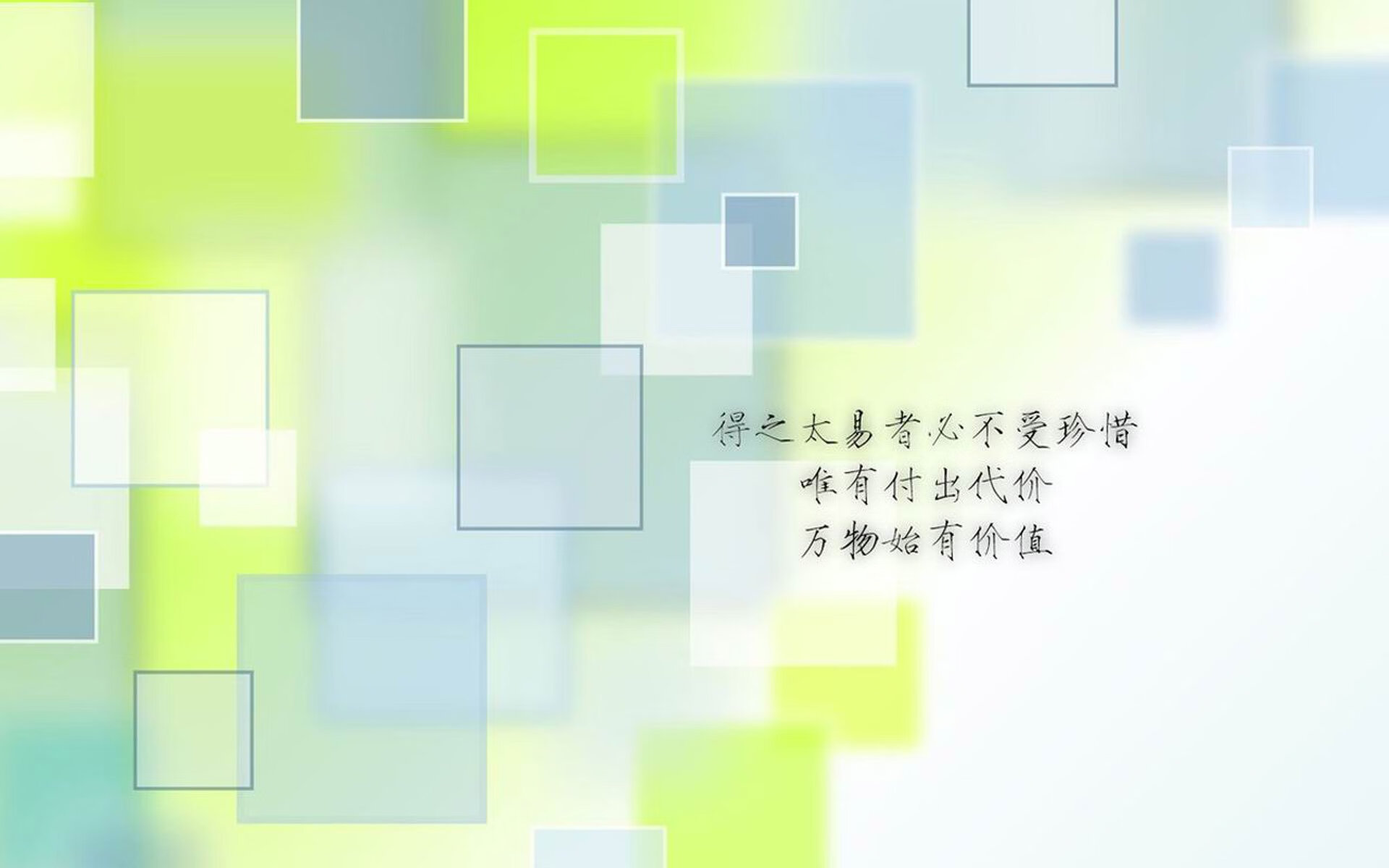 WRC精彩转播：直播背后的故事，wrc直播在哪里看