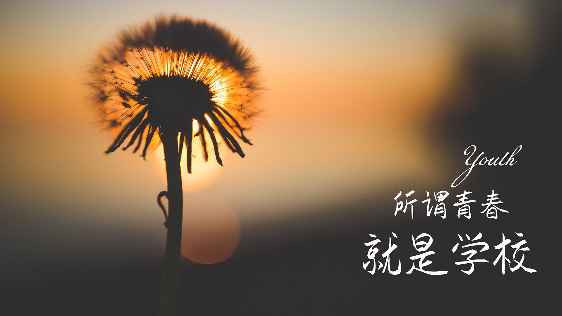 中超夏季转会窗口吸引多名自由球员加盟，中超转会政策