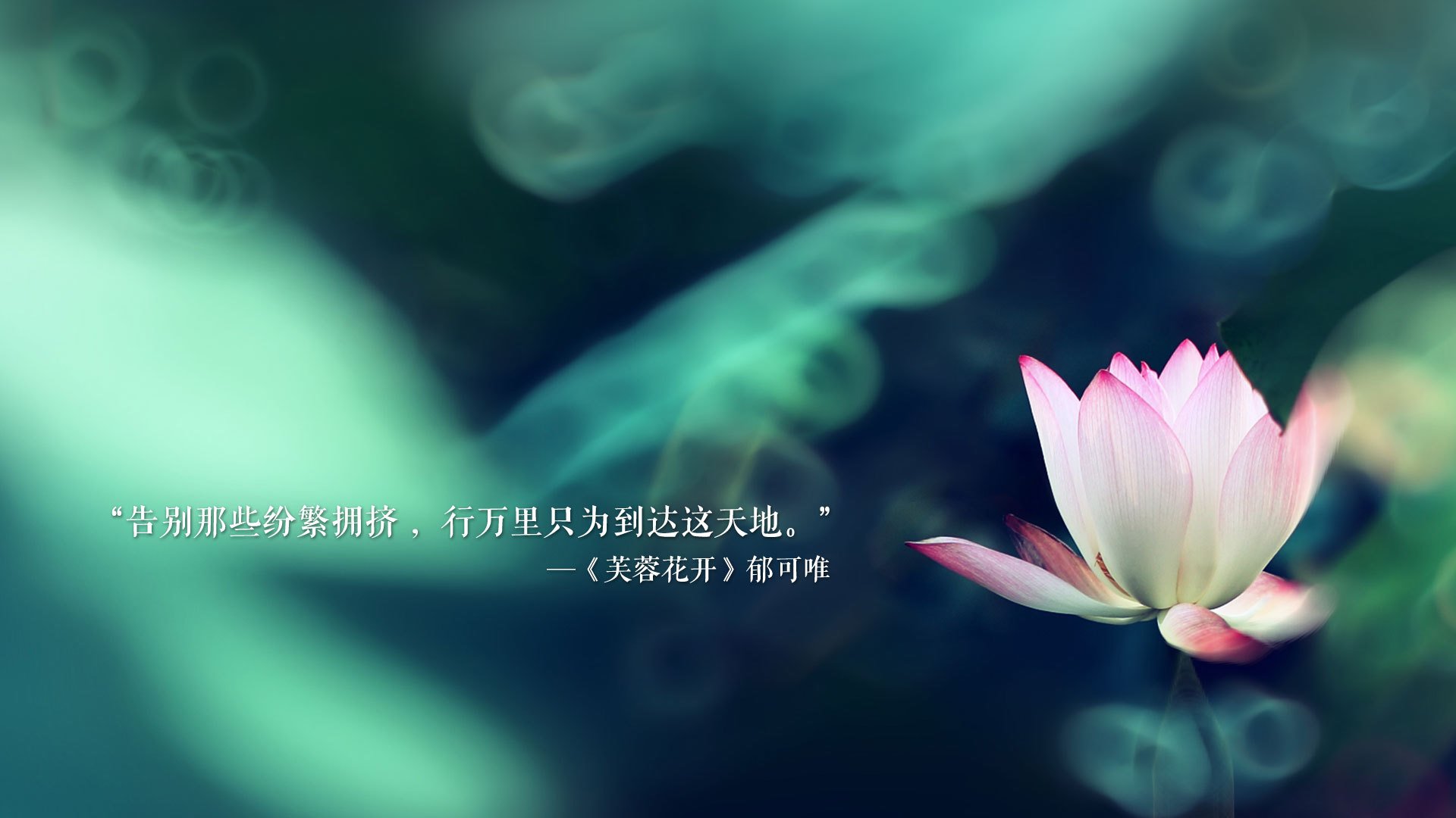 开云官网APP下载-德甲主场氛围火爆，球迷投入热情高涨，德甲所有队伍