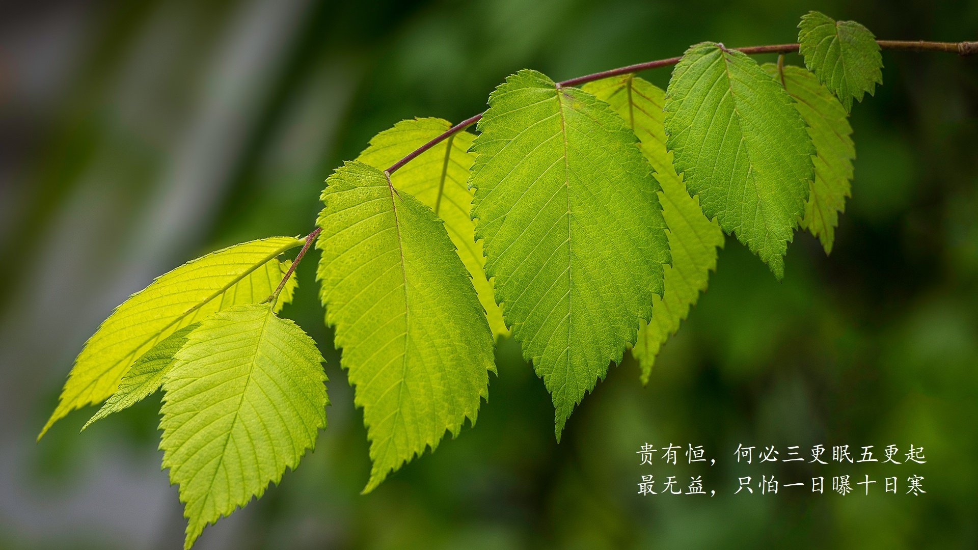 逆转“战神”夜：那些让人热血沸腾的比赛瞬间