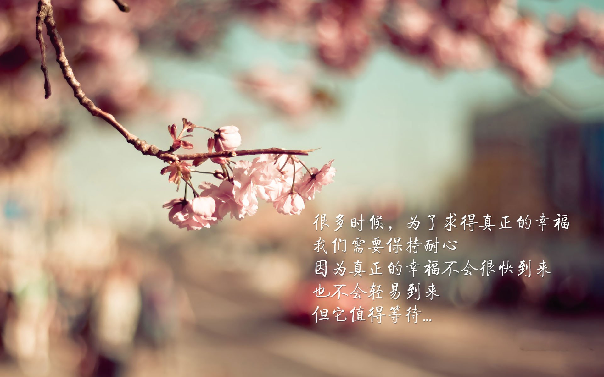 卡利亚里防守稳固，逼平劲旅尤文图斯保持不败，尤文卡利亚里集锦