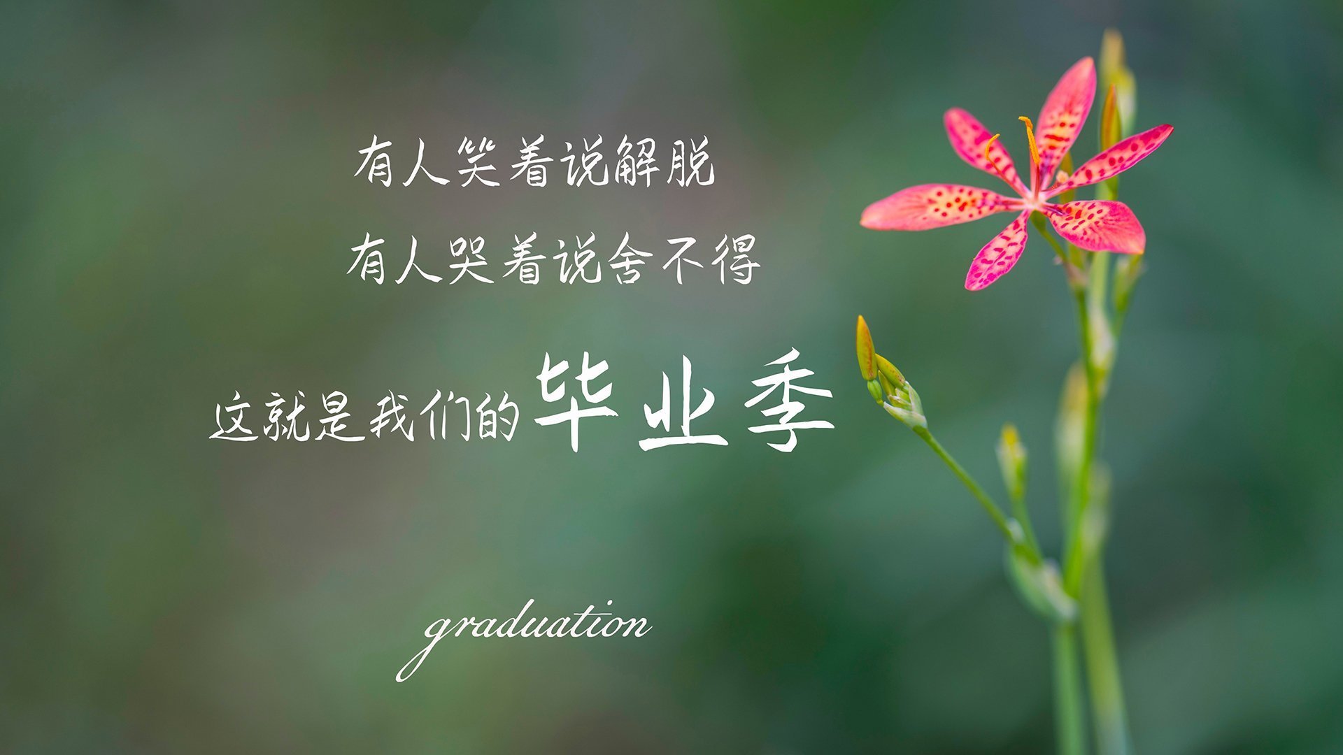 悬念丛生奥运奖牌榜大变局，奥运金牌悬念
