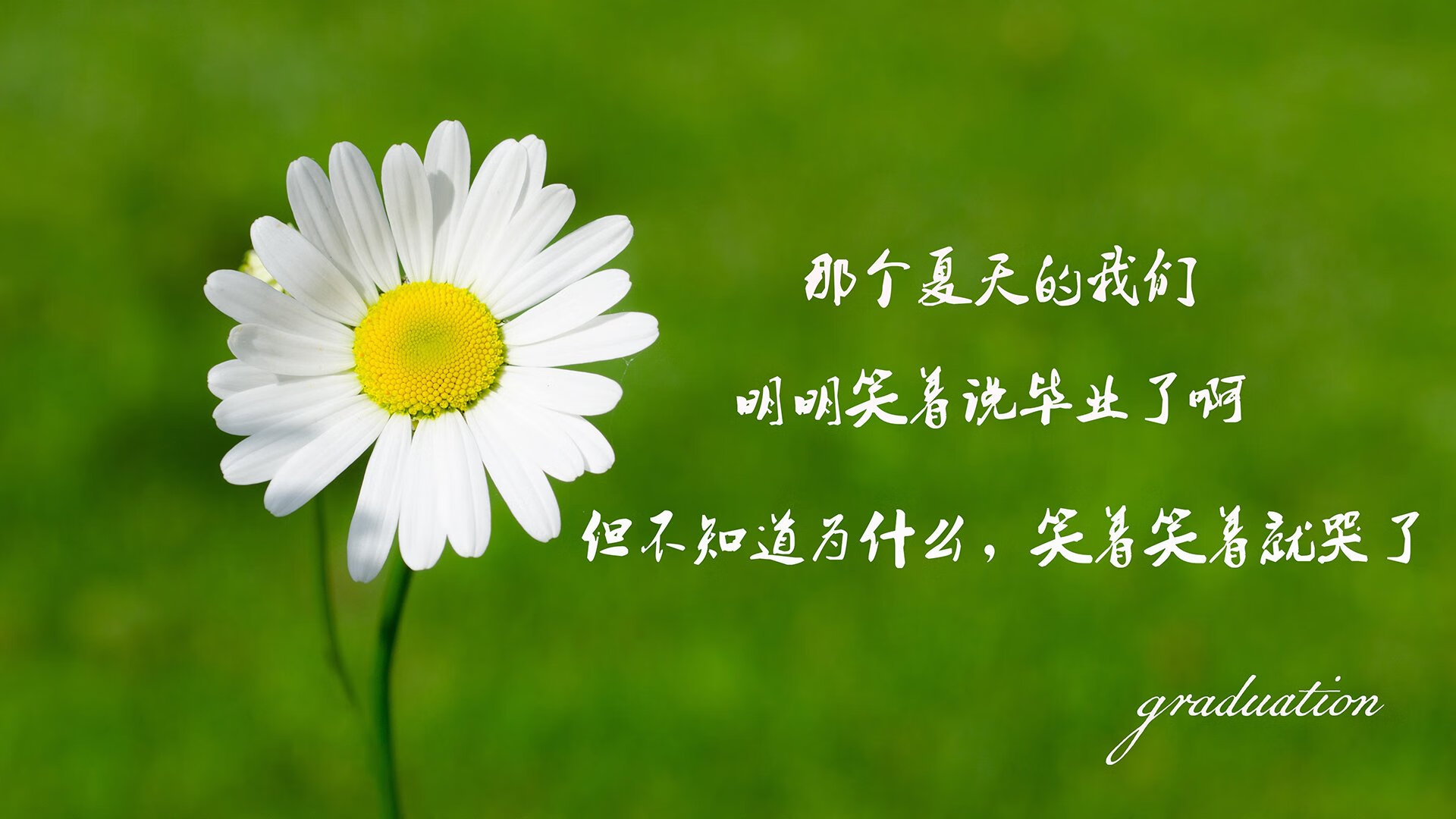 曼城客场大败亚特兰大，惜失欧冠四强，曼城大胜曼联