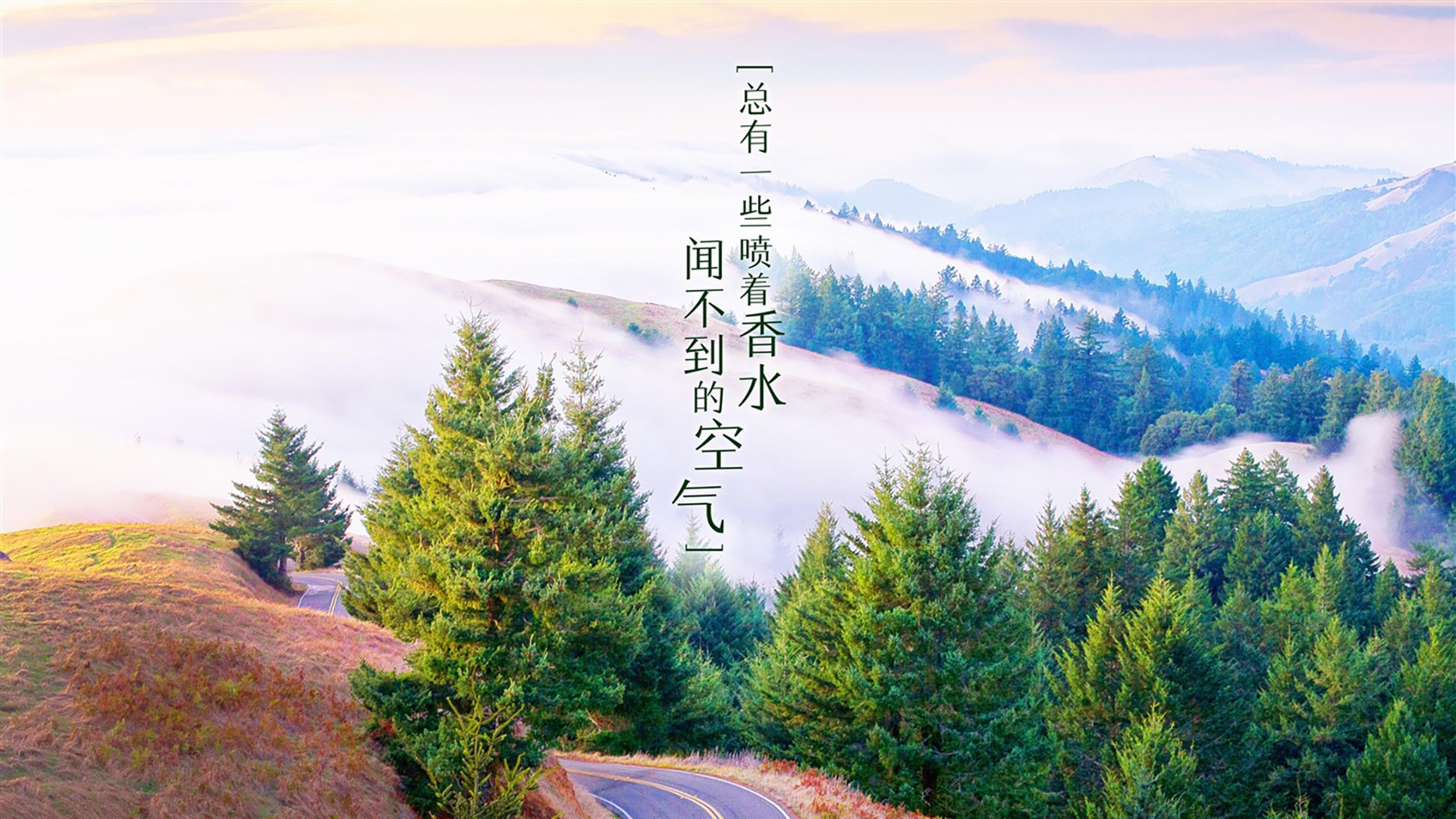 红烧普罗旺斯，欧冠赛场双雄对决，普罗斯旺炖菜