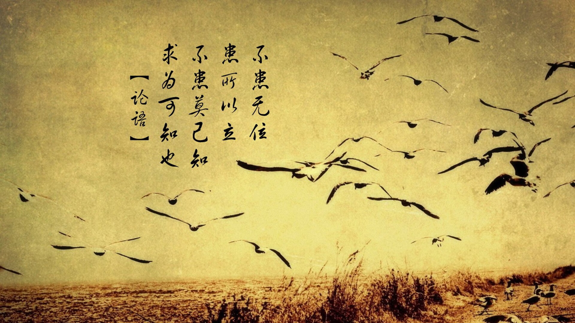 西班牙球队发挥出色，取得连胜领先积分榜，西班牙球队排名