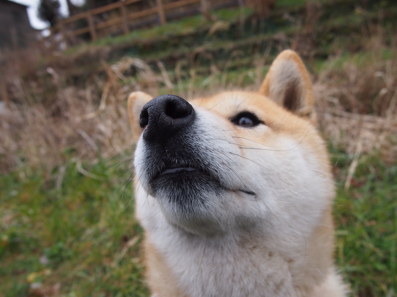 中国足球职业俱乐部球员健康管理制度完善，足球从业人员