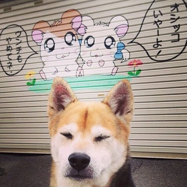 主力球员罚球稳定，进攻终结能力佳，罚球状态