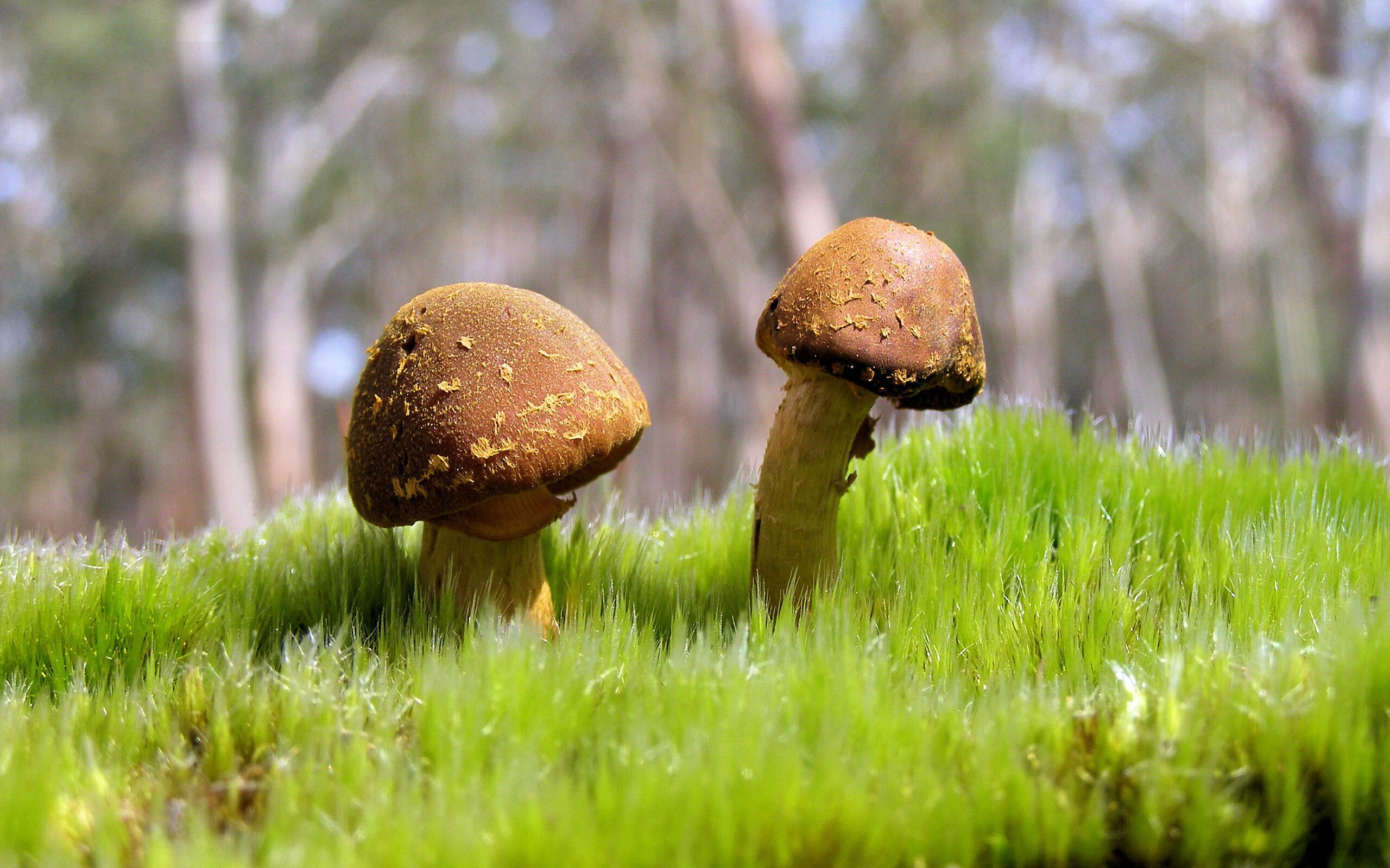 足球俱乐部青训成果展示未来可期,足球俱乐部青训营