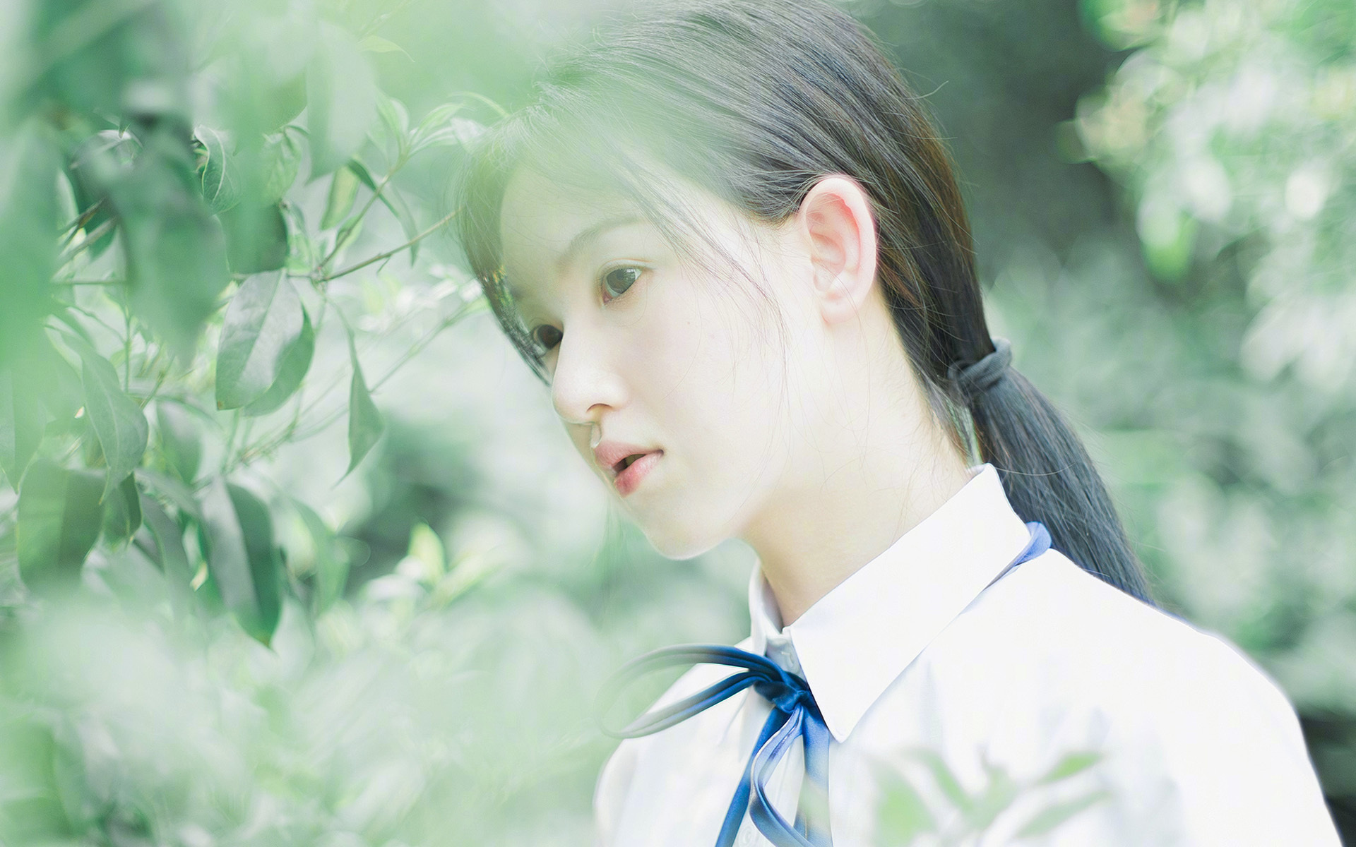 开云官方-跳水动作干净利落获高分，跳水动作详解