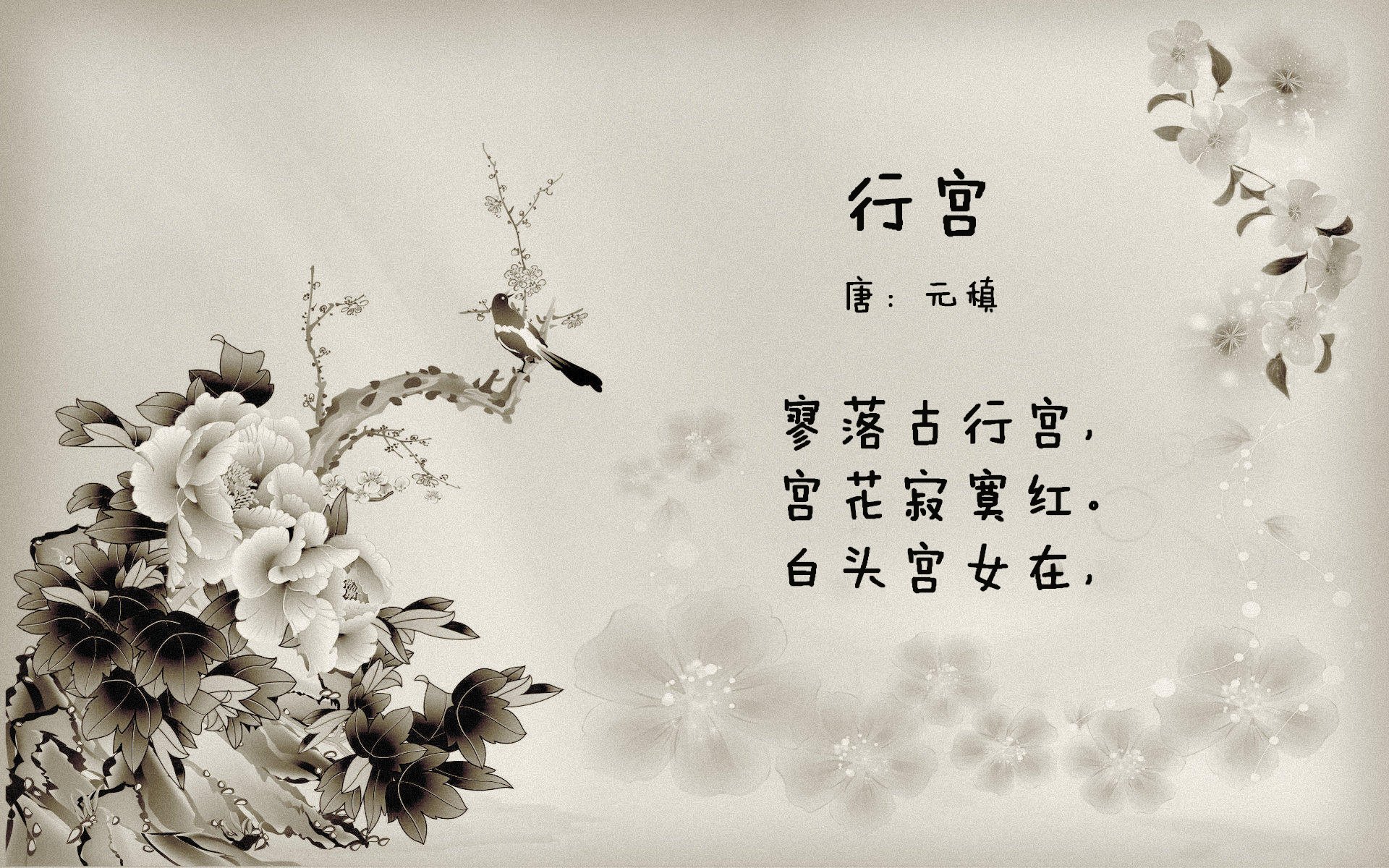 麦考的领导风范,成为全黑队历史的象征,麦考3个总冠军