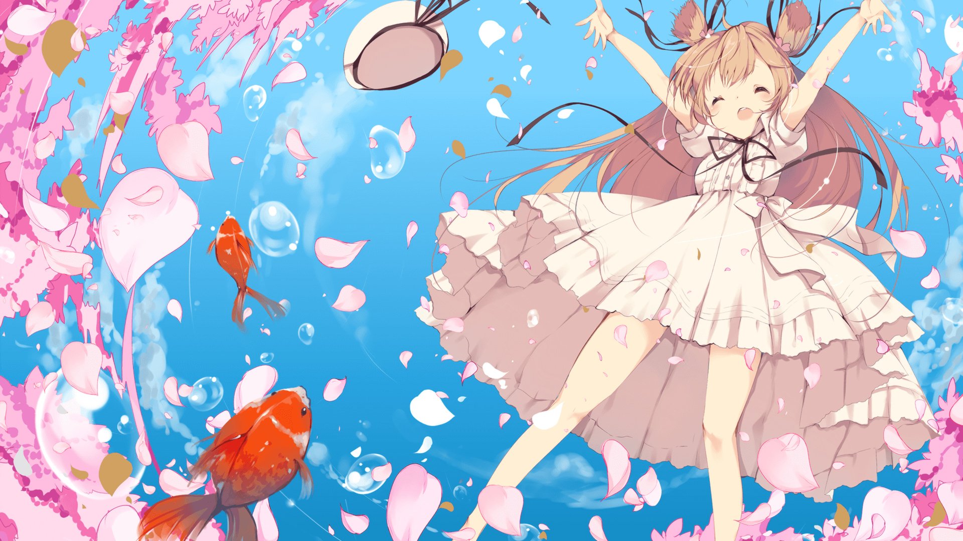 麦金托什女子800米自由泳表现无懈可击,加拿大游泳运动员麦金托什