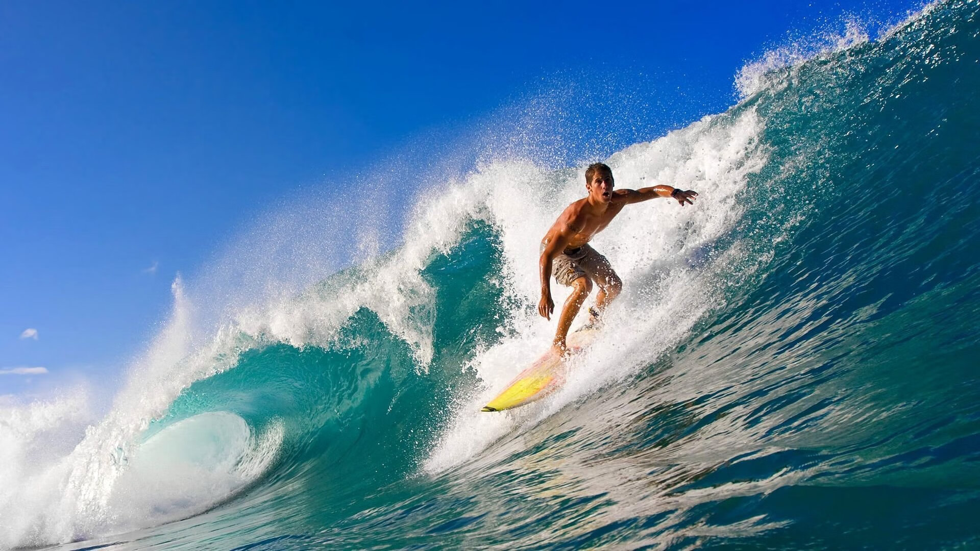 不容错过的赛事：本季度必看比赛TOP5，全年赛事计划