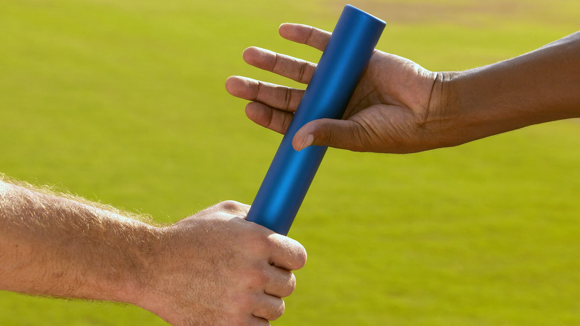 开云棋牌-荷兰马术协会建立马匹基因数据库，促进马匹选育与训练。，荷兰马长什么样